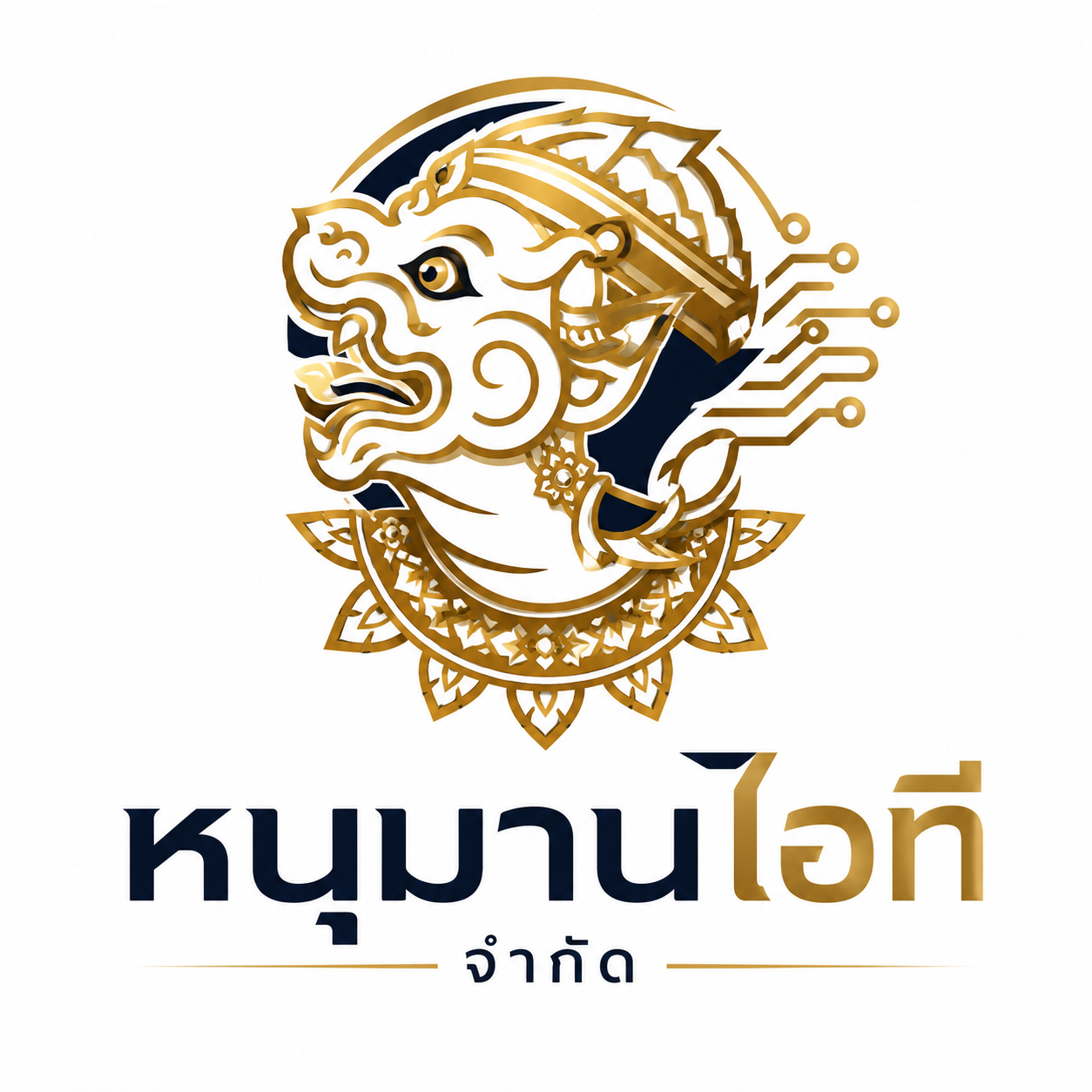 HanumanIT Professional Service